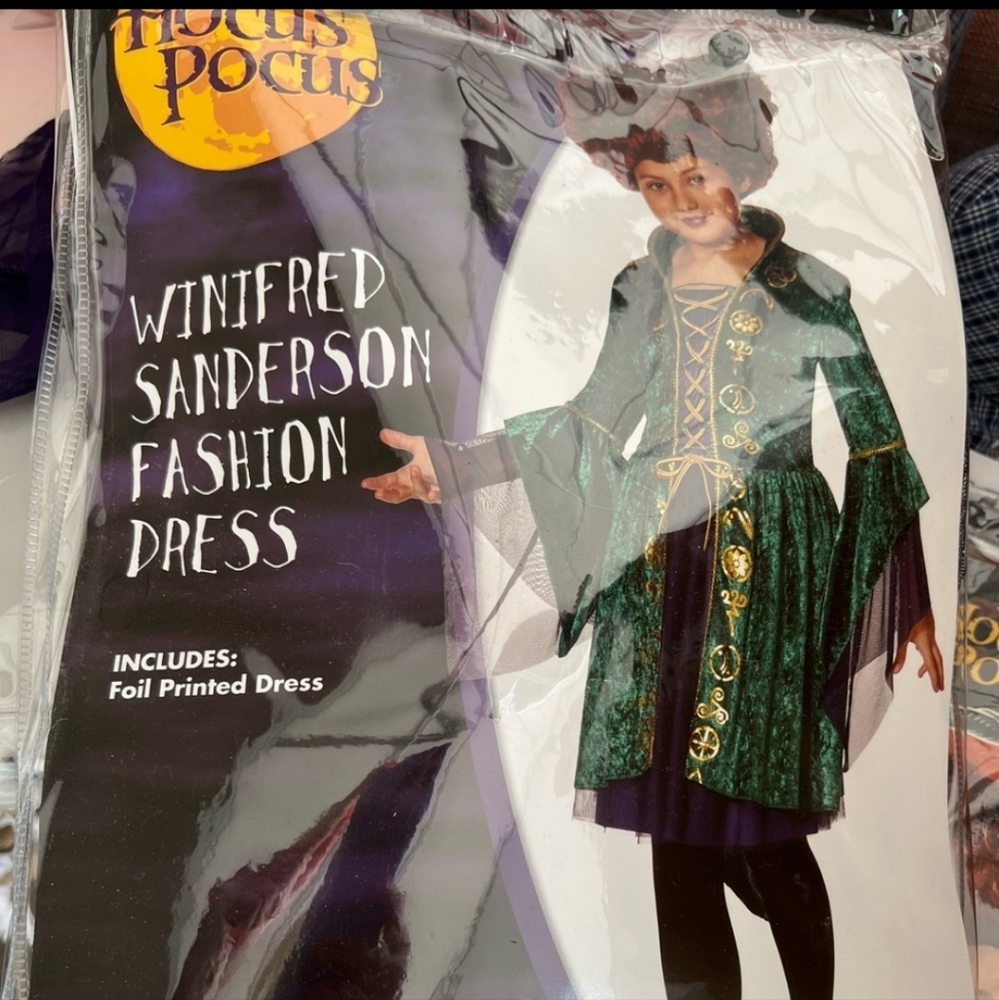 Hocus pocus winifred costume size 10/12
